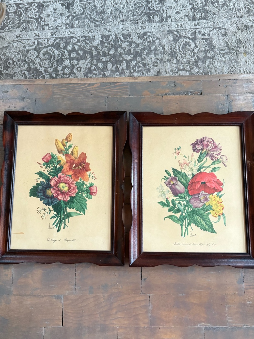 pair of vintage botanical lithograph art prints originally 1940’s